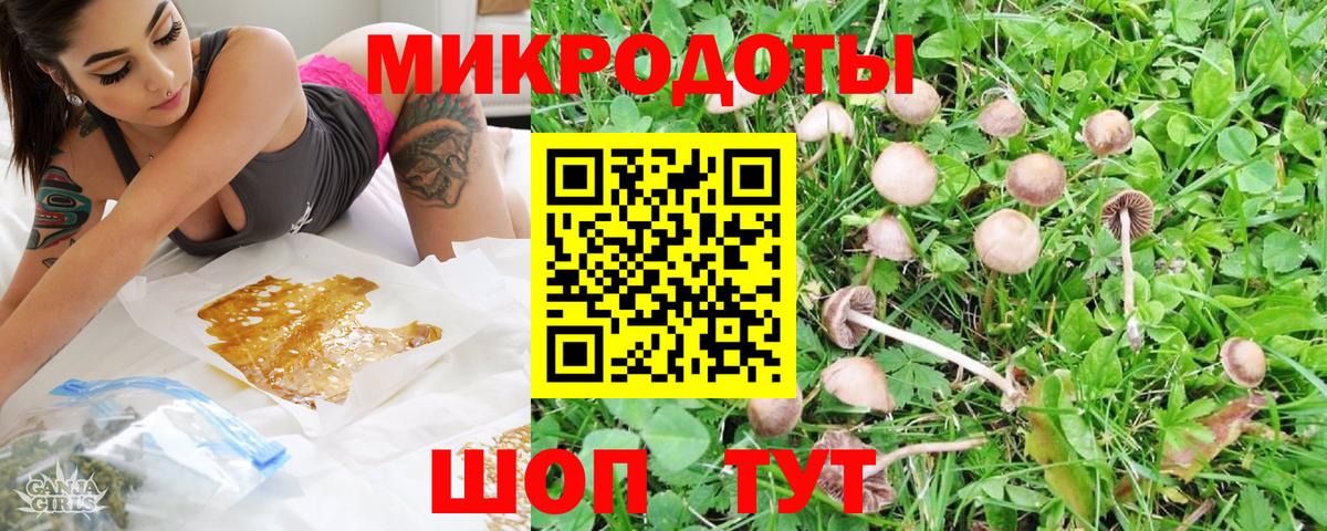 Галлюциногенные грибы GOLDEN TEACHER Карпинск