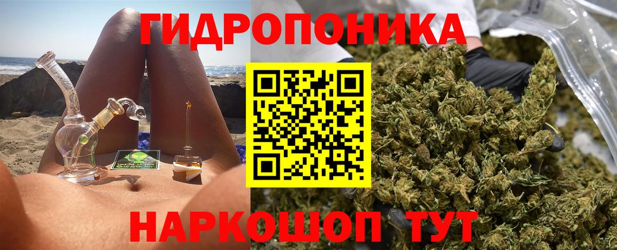 Бошки Шишки марихуана Карпинск
